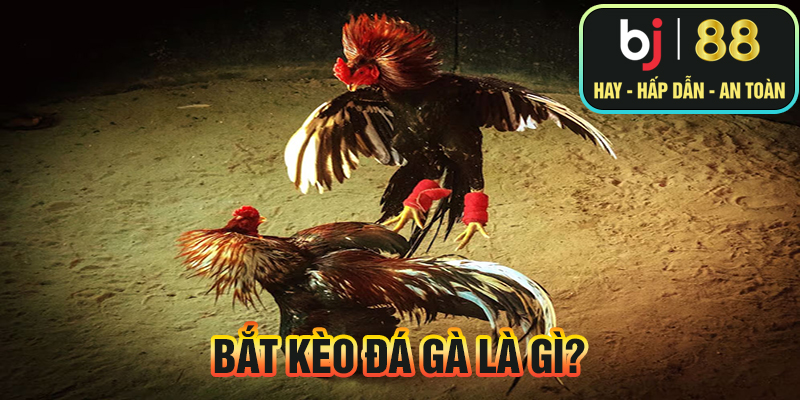 Bắt kèo đá gà là gì?