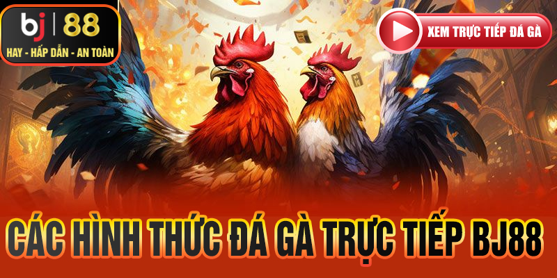 Các hình thức đá gà trực tiếp BJ88