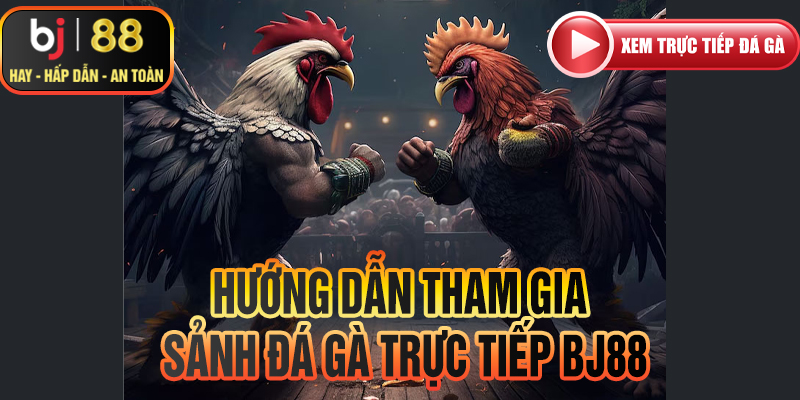 Hướng dẫn tham gia đá gà trực tiếp Bj88