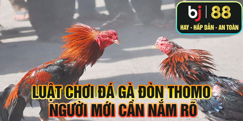 Luật chơi đá gà đòn Thomo 